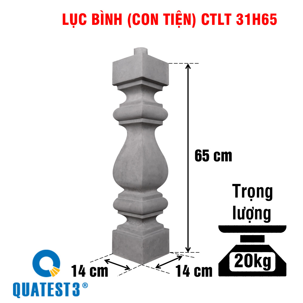 Lục bình CTLT 31H65 Lục bình CTLT 31H65