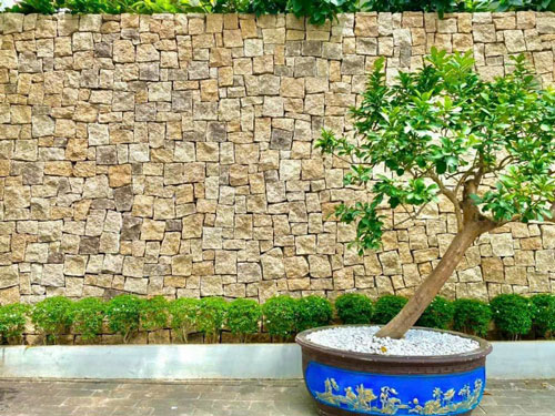 Công trình thực tế sử dụng Đá rối vàng Bình Định