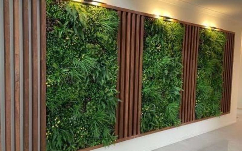 Thiết kế vườn treo tường bằng bộ khung