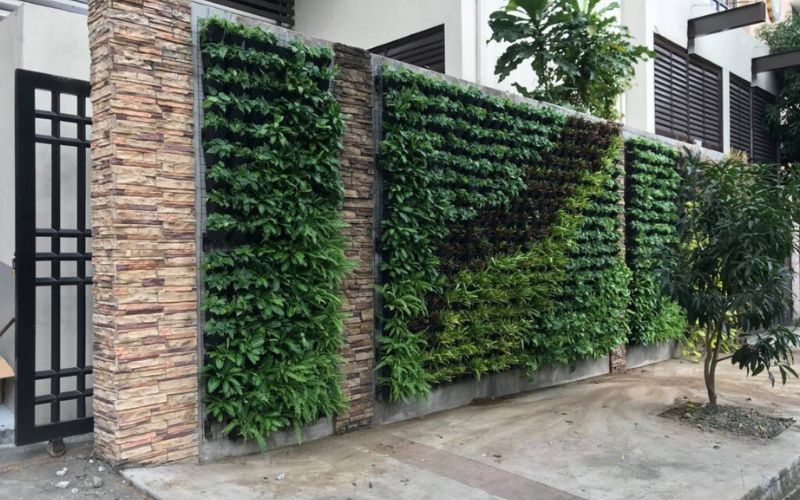 Nguyên tắc khi thiết kế vườn treo tường đẹp