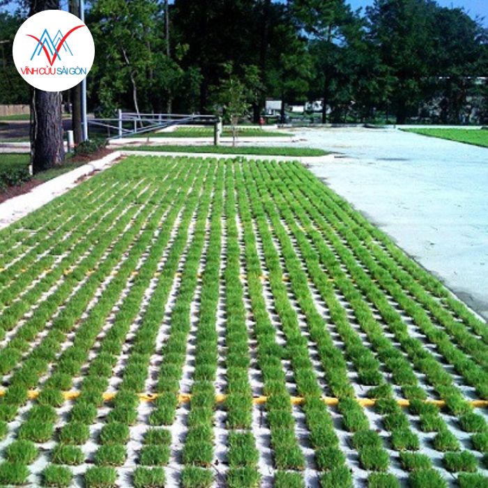 Ưu điểm của gạch lỗ trồng cỏ lục giác